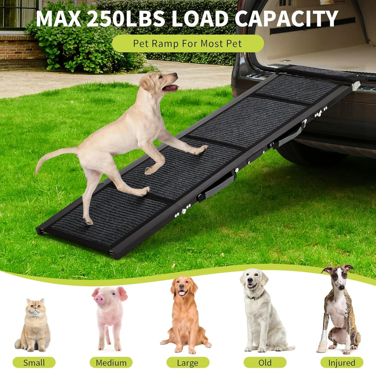HiMISS Upgrade Folding Dog Car Ramp With Anti Slip Base