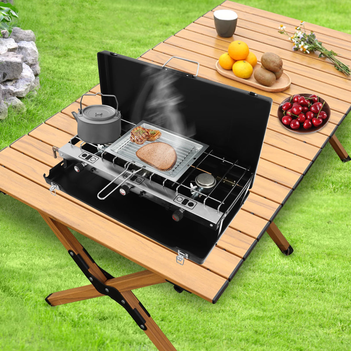 Professional Portable Gas Camping Stove For Outdoor Cooking