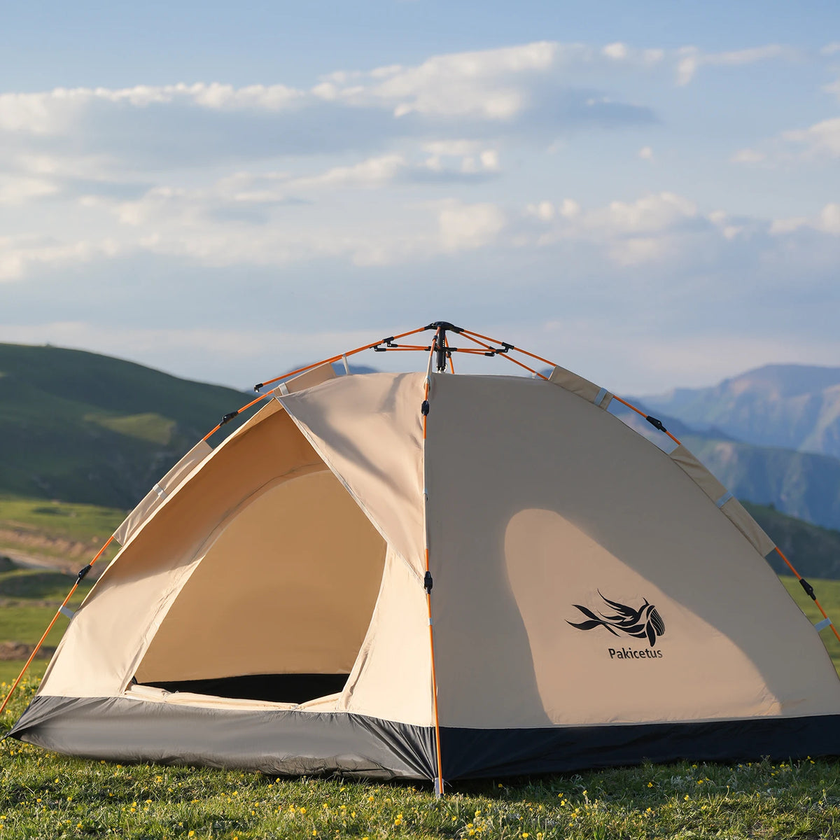 Pakicetus Instant Pop Up Dome Tent For Family Camping