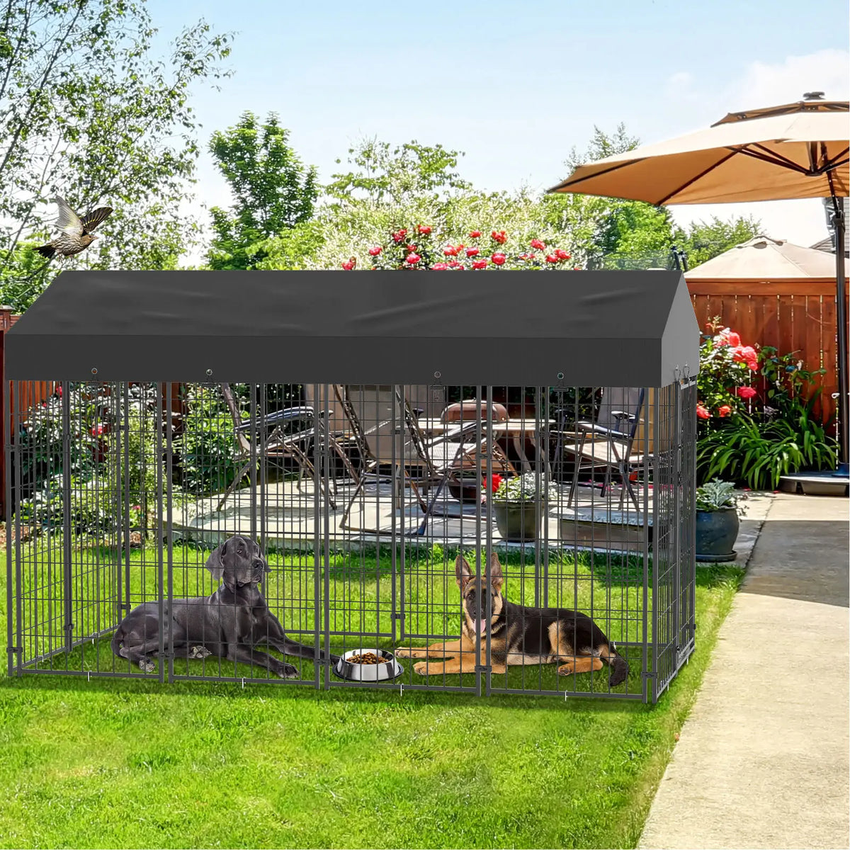 Iron Outdoor Dog Cage With Roof High Fence Heavy Duty Kennel